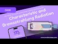 X-Ray Production and Radiation Concepts