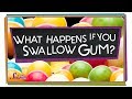 Understanding Gum Digestion