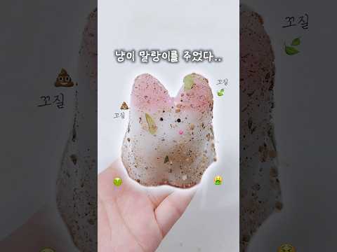 더러워진 고양이 말랑이 씻겨주기..💦 #말랑이 #shorts