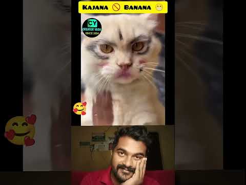கண்ணழகி பாருங்க #hoomans #dogcomedyvideo #instatrending #creatoryash #bigbang