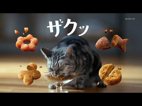 銀のスプーンザクッと食感ブレンド「ザクッと合唱」篇15秒