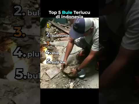 Top 5 Bule Terlucu di indonesia😂