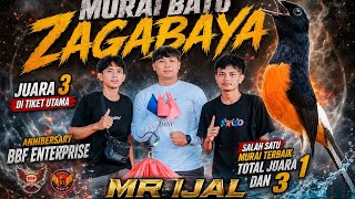 MURAI ZAGABAYA•TAMPIL MENGERIKAN AMAKAN JUARA 3 DI TIKET UTAMA •ANNIVERSARY BBF •TOTAL JUARA 1 DAN 3