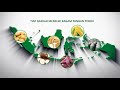 Makanan Indonesia dan Pola Makan Sehat