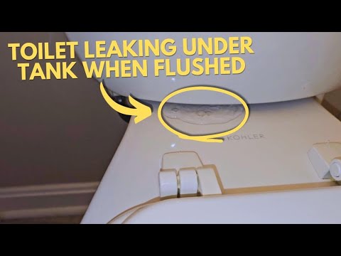 Toilet leaking under tank when flushed