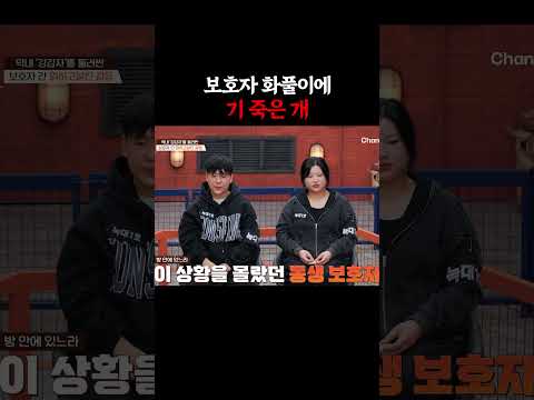 쳐다도 못 <strong>봄</strong> #개늑시2 #개와늑대의시간2