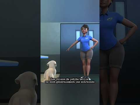 « Le courage n’a pas de taille