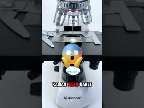 Ada apa itu didalam ulat sutra!? 🤯 #shorts #shortvideo #microscope