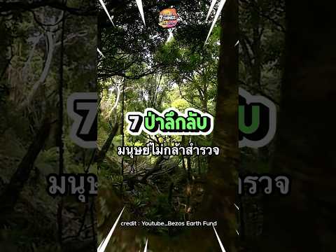 7 ป่าลึกลับที่มนุษย์ยังไม่กล้าเข้าไปสำรวจ