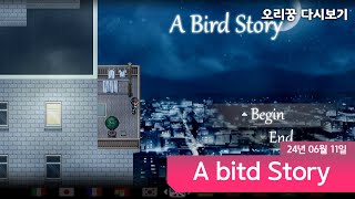 [ 버드스토리/A Bird Story ] 소년과 새의 감동적인 이야기