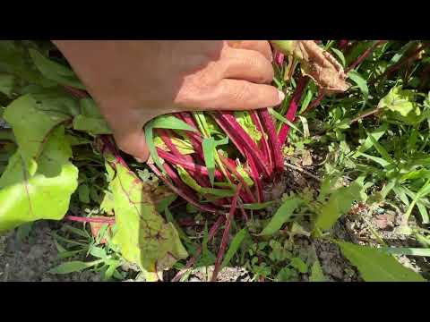 واخيرا رجعنا ☺️