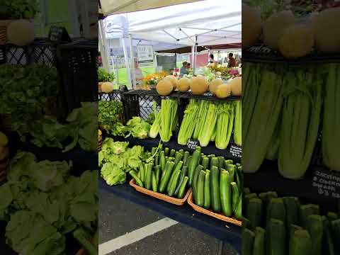 San Fran Fun 🚃🎸🏫 Shot on Meta Smart Glasses #oakley #metaglasses #sanfrancisco #pov