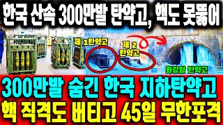 지하 산맥 속 탄약 요새 첫 공개! 한미 연합도 모자라 세계 비축품까지? 美도 놀란 한국 지하탄약고 클라스ㅣ 5일간 3,300문 동시발사!? 한국 포방부가 숨긴 전선 증발 시나리오