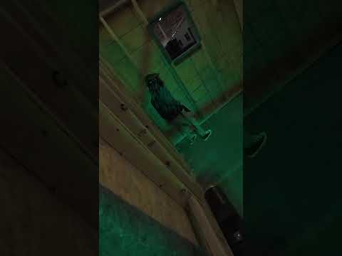 Im SO Sorry #airsoft