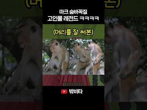 마크 숨바꼭질 고인물 IQ 200 플레이 레전드ㅋㅋㅋㅋ