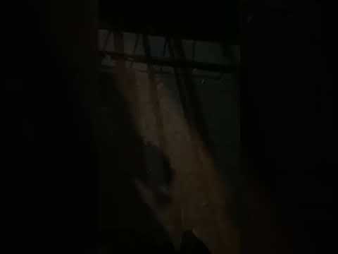 ライブ ハイライト