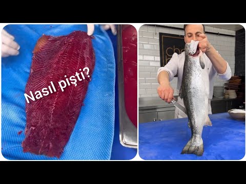 Ateşte pişmeyen bir yemek Somon gravlax