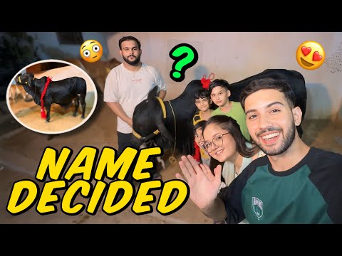 Name rakdiya cow ka😳 Tayyar kardiya Poora 😍