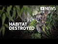 Australia's Biodiversity and Environmental Laws