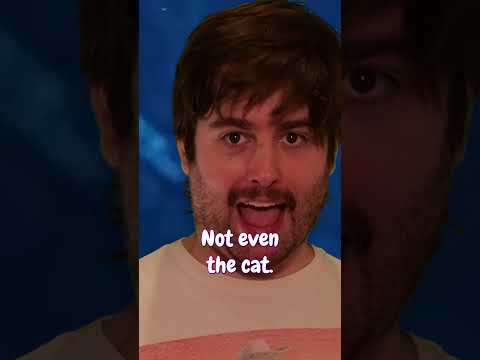Cat Ownership #catshorts #catsvideo #petowner #memes #comedy