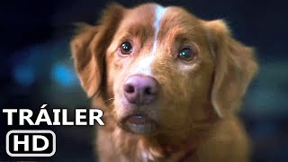 GOOD BOY Tráiler Español Subtitulado (2025) Terror