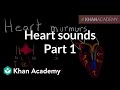 Heart Murmurs and Auscultation