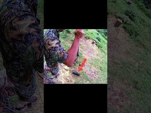 That's a Sticks Hunting By Boar đđ#chasse##wildboar#watched#stick#hunting#reels