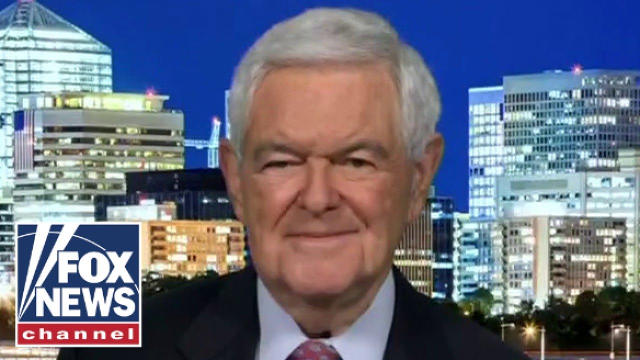 What is costing Democrats votes in every community: Newt Gingrich￼