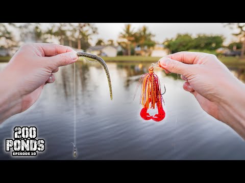 Are Slow Lures BETTER Than Fast Lures For Winter Fishing? (200 Ponds Ep. 10)