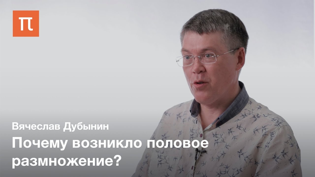 Размножение с точки зрения женского мозга - Вячеслав Дубынин