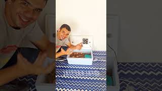 Como fazer CHOCADEIRA DIY caseira e Reciclável! 🐥😨💸#DIY #projetocaseiro #dicascriativas #galinhas