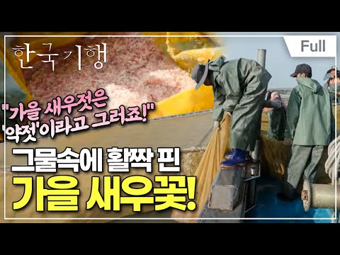 [Full] 한국기행 - 살아있네, 가을 3부 강화도 가을 사냥