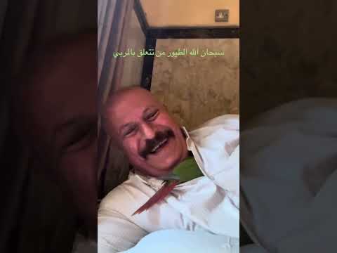 وفاء الطيور بعد الترويض سبحان الله