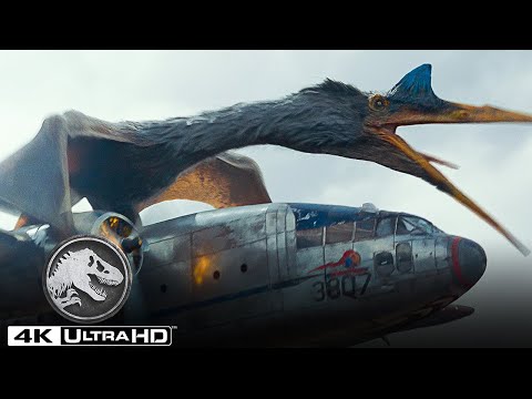 The Quetzalcoatlus Attacks Kayla Watts’ Plane