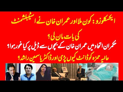 EXCLUSIVE: What is decided about Imran Khan & PTI movement and senate elections by BIG officials?