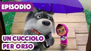 💥Nuovo episodio💥 Masha e Orso 🐻👱‍♀️ Un cucciolo per Orso 🐶 👍 (Episodio 142) 💥 Don't Sell Me a Dog