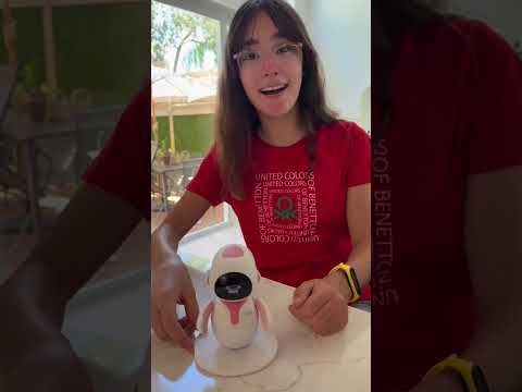 🎥 Eilik’s daily life: