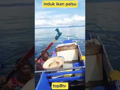 Trik menangkap ikan dengan induk palsu #fishing