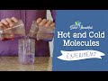 Molecular Movement and Temperature Effects