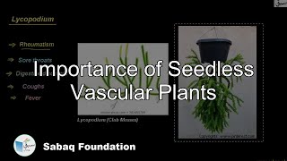 Importance of Seedless Vascular Plants