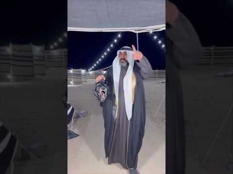قلبه شجاع وقدر على الذيب #اكسبلور #الكويت #ترند