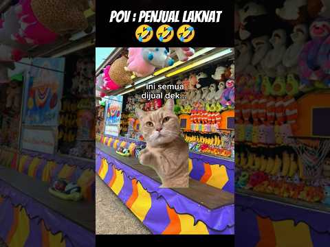 Pov : Penjual V*ngke 🤣 #meme #cat #kucing #animation #fypシ