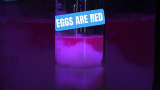 egg-based lava lamp and invisible ink