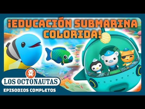 Los Octonautas - 🌈 ¡Educación submarina colorida! 🌊 | Episodios Completos | Compilado