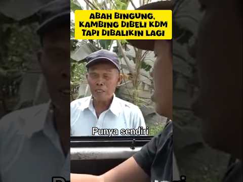 abah bingung, domba dibeli kdm tapi dbalikin lagi #dedimulyadi #kdm #kangdedimulyadi
