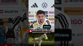 Havertz erklärt Liebe zu Eseln: "So ein bisschen wie ich" #shorts