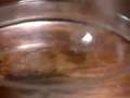 Exploring Alkali Metals and Their Reactions with Water