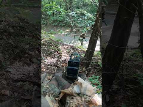 스나킬을 많이하고 싶습니다 SSE18 @novritsch 킬모먼트 #sse18 #aep #airsoft