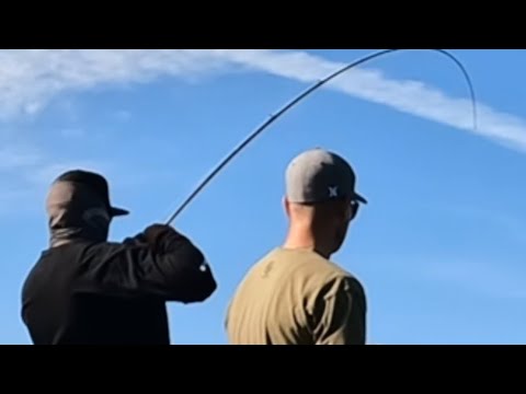 STRIKE ZONES 101, Bass Fishing