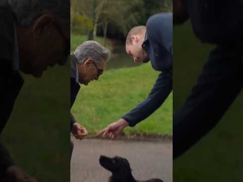 #PrinceWilliam 's dog meets Eugene Levy #shorts